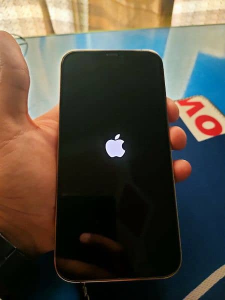 Iphone 12 Pro Max Icloud locked Back Glass crack 6