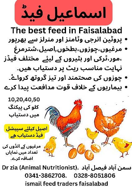 Feed and wanda(Aseel feed and Fancy poultry feed ,فربہ،fattening) 2