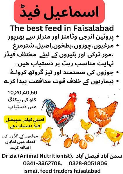 poultry Feed (0307-4845207) 3