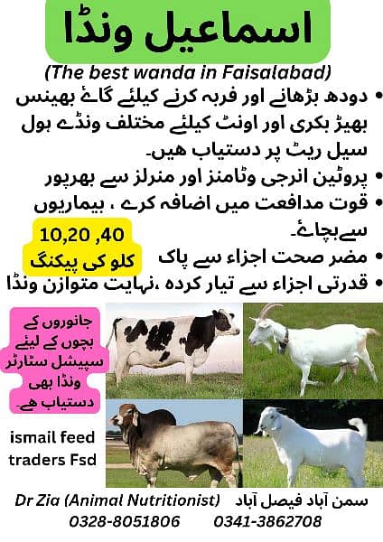 Feed and wanda(Aseel feed and Fancy poultry feed ,فربہ،fattening) 3
