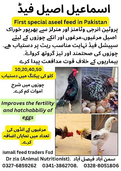 Feed and wanda(Aseel feed and Fancy poultry feed ,فربہ،fattening) 5