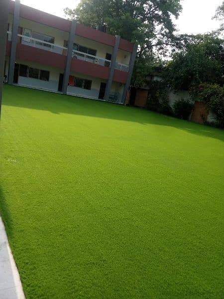 Astroturf/Artificial Grass Carpet 11