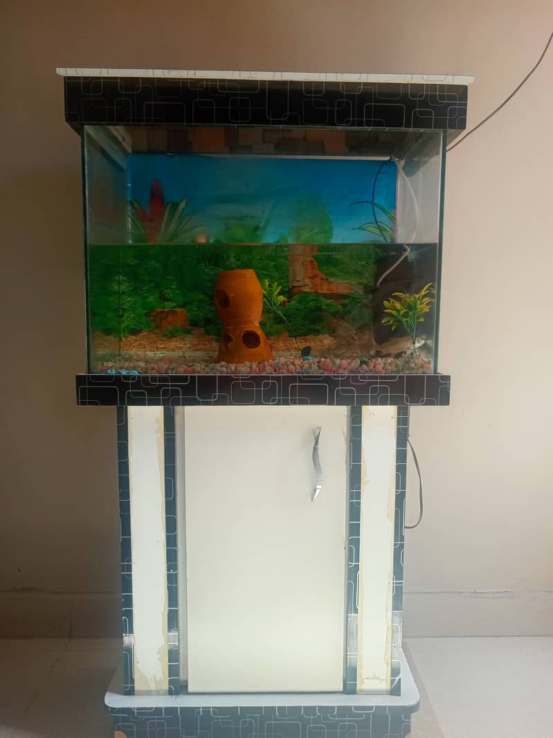 fish aquarium 3