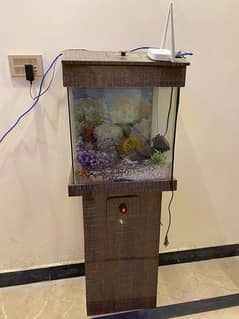 Fish Aquarium With Oxygen Pump 0