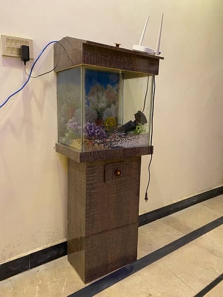 Fish Aquarium With Oxygen Pump 1