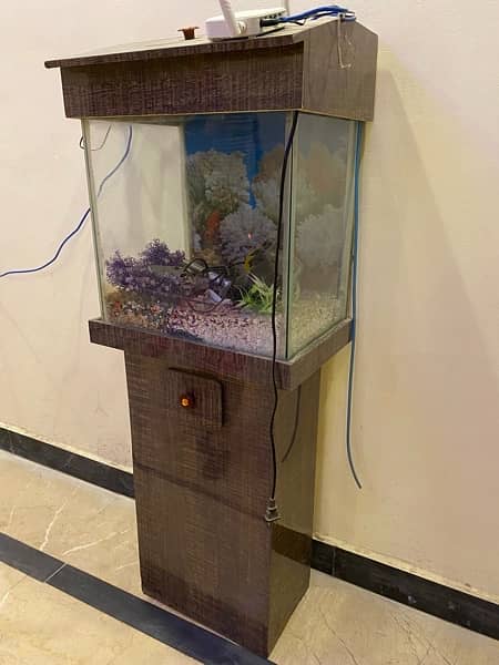 Fish Aquarium With Oxygen Pump 3
