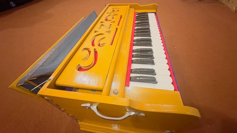 Brand New Professional NS Anand Harmonium for Sale 0
