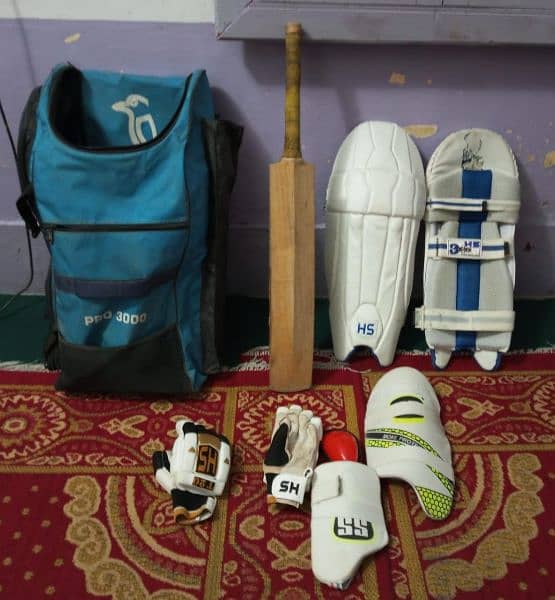 cricket full kit with bag 0