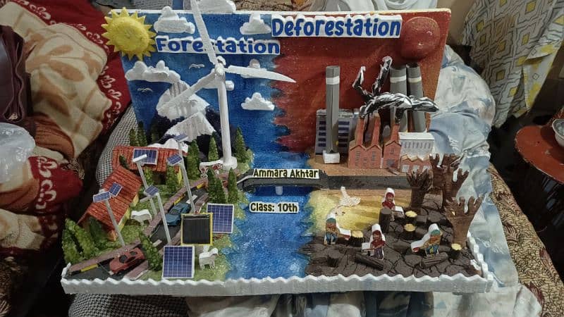 Science Project for Sale ( Forestation and Deforestation ) 1