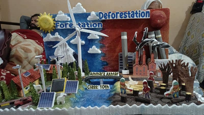 Science Project for Sale ( Forestation and Deforestation ) 2