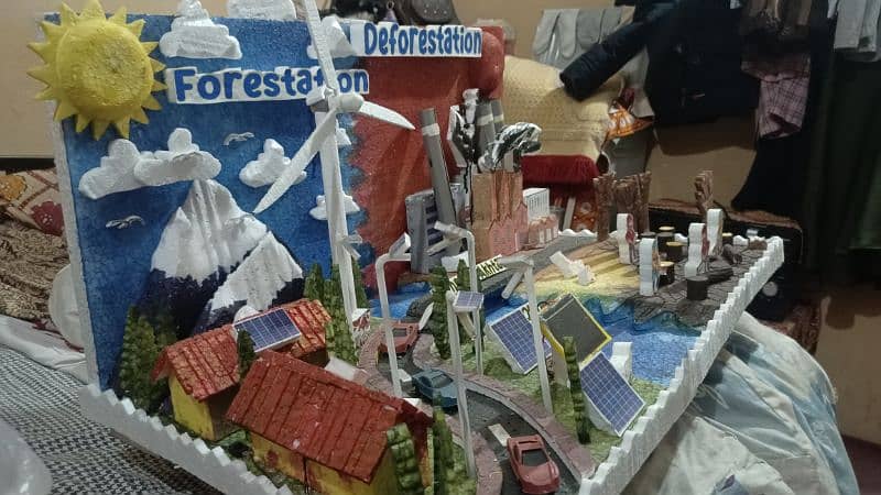 Science Project for Sale ( Forestation and Deforestation ) 3