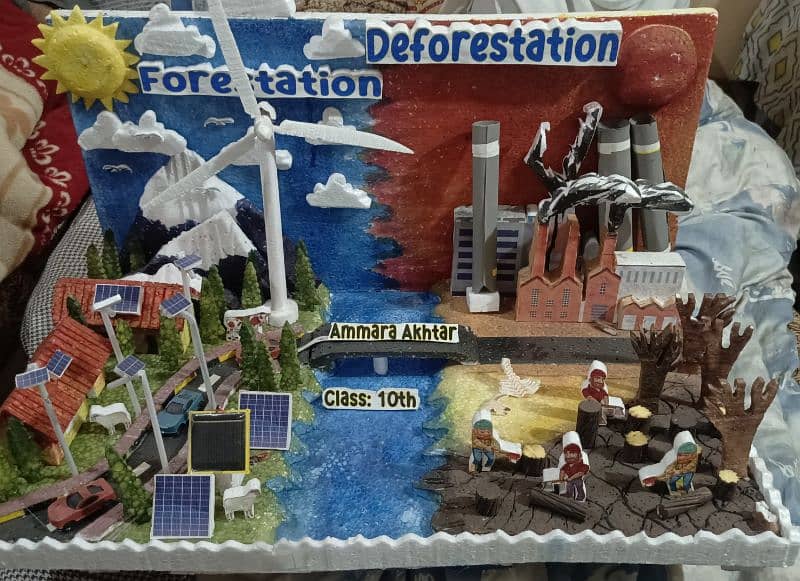 Science Project for Sale ( Forestation and Deforestation ) 4