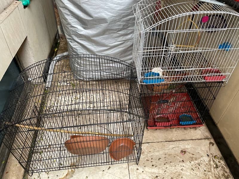 Birds cages for sale 0