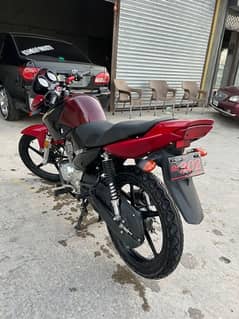 yamaha ybr125 2022 special number (302) for sale 0