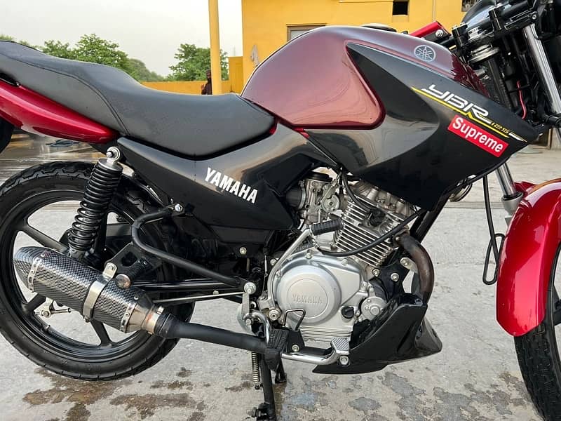 yamaha ybr125 2022 special number (302) for sale 2