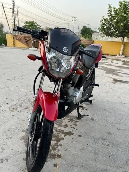 yamaha ybr125 2022 special number (302) for sale 3