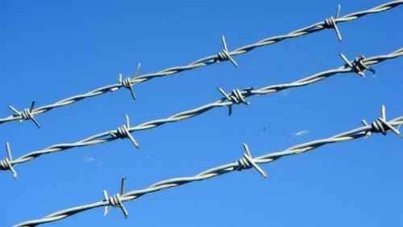 Chain link Jali Razor Wire Barbed Wire Security Fence Weld mesh 3