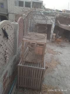 3 Cages Hen