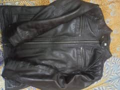 Brown Pure Leather Jacket