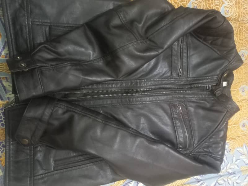 Brown Pure Leather Jacket 2