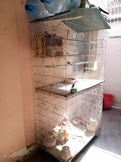 bird cages / cages for sale/cage/iron cage/love bird/pinjra/colony