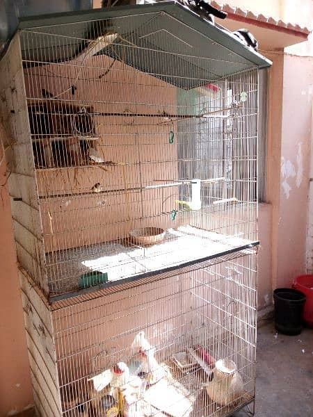 bird cages / cages for sale/cage/iron cage/love bird/pinjra 1