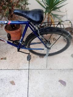 Olympic cycle for sale