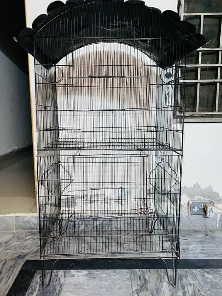 Birds Cages For Sale! 2