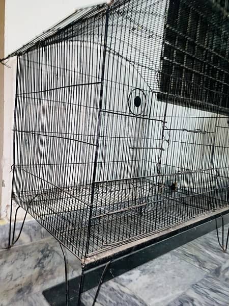 Birds Cages For Sale! 8
