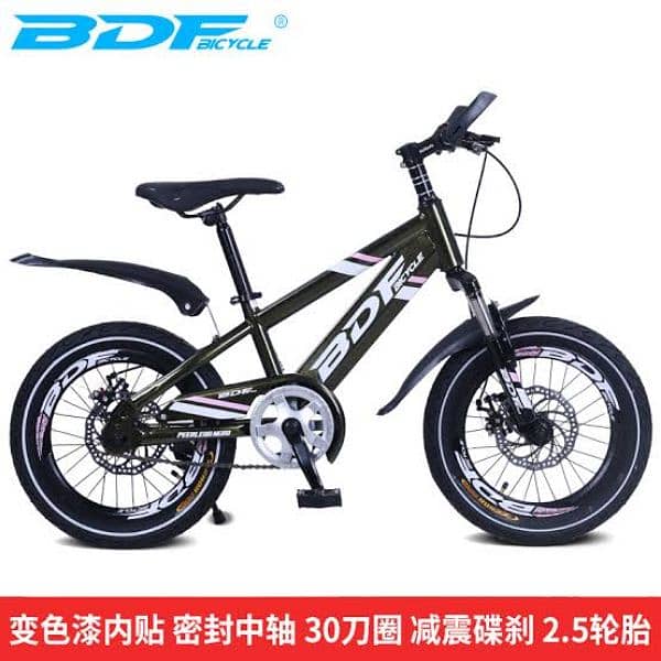 BDF Brand Bicycle 1