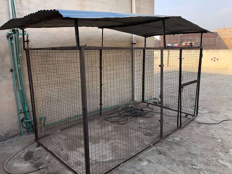 Animals cage for sale 10’x5’ 03216025047 1