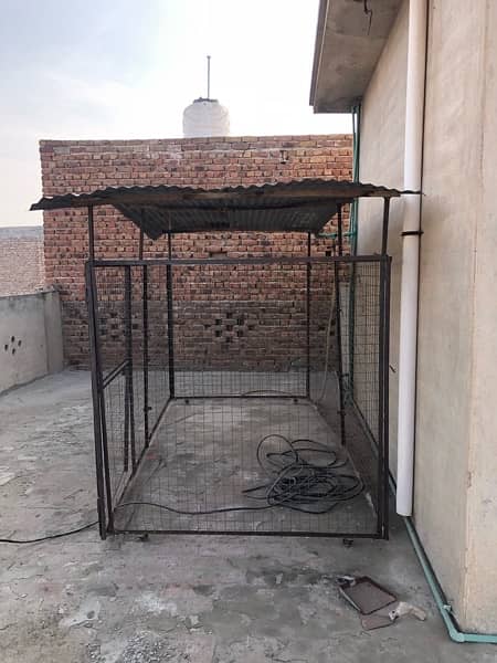 Animals cage for sale 10’x5’ 03216025047 2