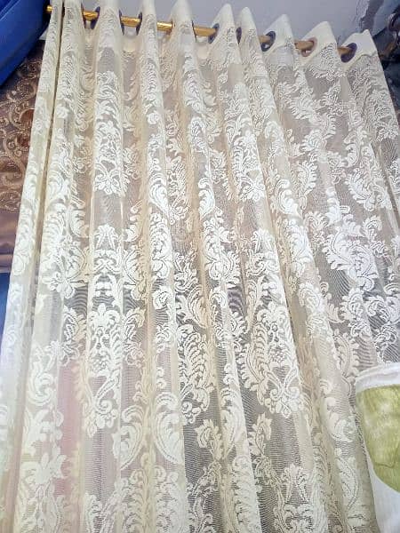 bonanza tipe net curtains menimam stock 11