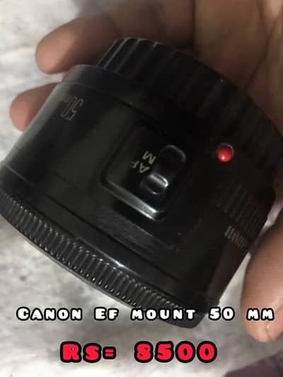 canon lenses and Olumpus lens