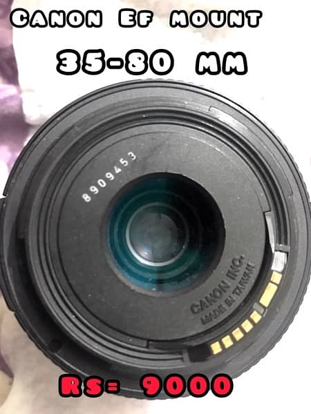 canon lenses and Olumpus lens 5