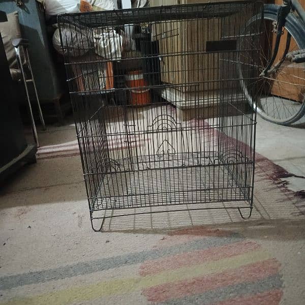 green parrot cage 1