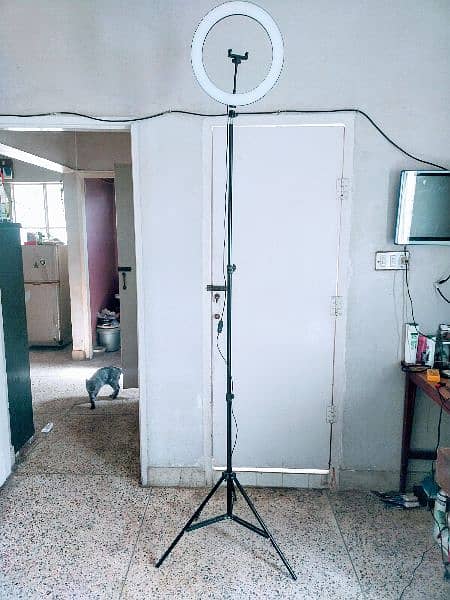 RING LIGHT/STAND PRO 1