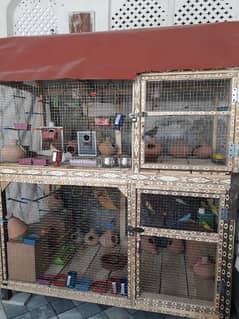 Large Double Portion Bird Cage for Sale