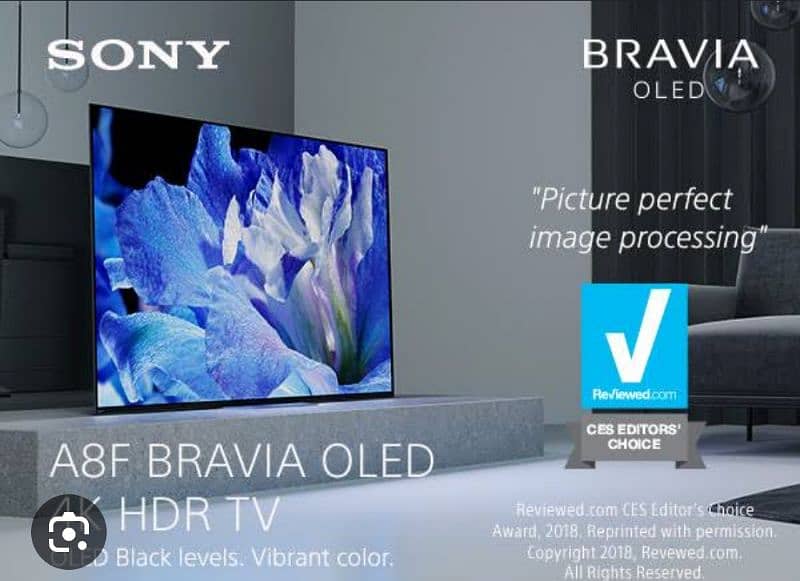 sony 65 inch A8F oled tv 2