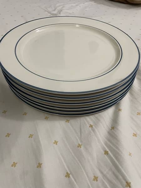 want to sell these plate 11 plates 2