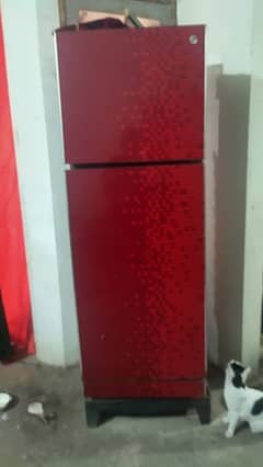 Pell Jumbo size fridge