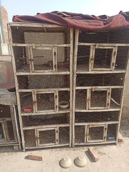 cages for sale 5