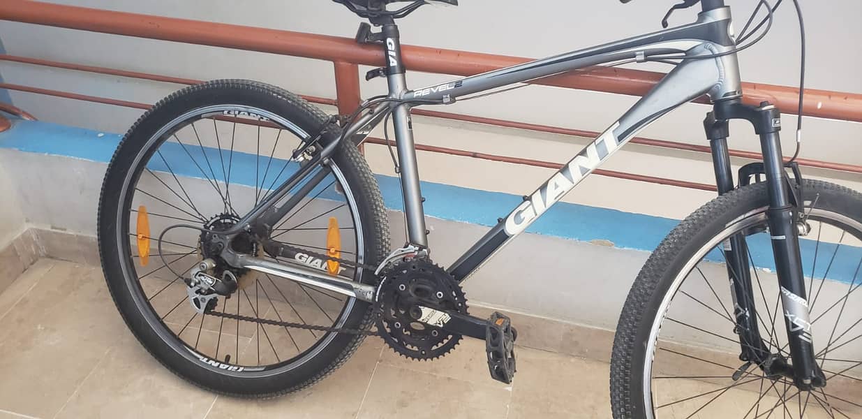 Gaint Cycle for Sale 1