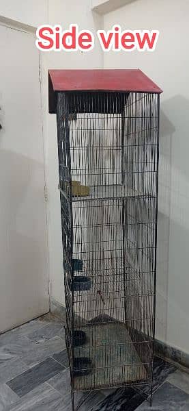 Pinjra/cage bird/parinday 1