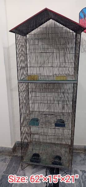 Pinjra/cage bird/parinday 2