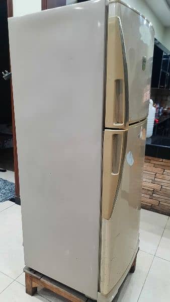 Dawlance Signature Refrigerator | 2005 Model 2