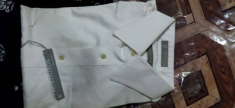 Brand New  2  Shirts in white colour for sale. 7