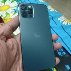 iphone 12 pro 256gb pta approved