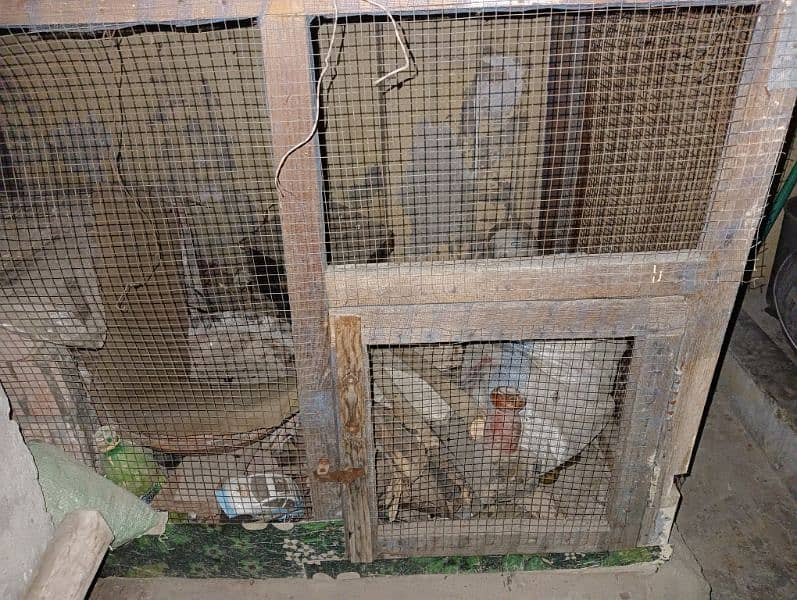Wood Cage for Sale 4