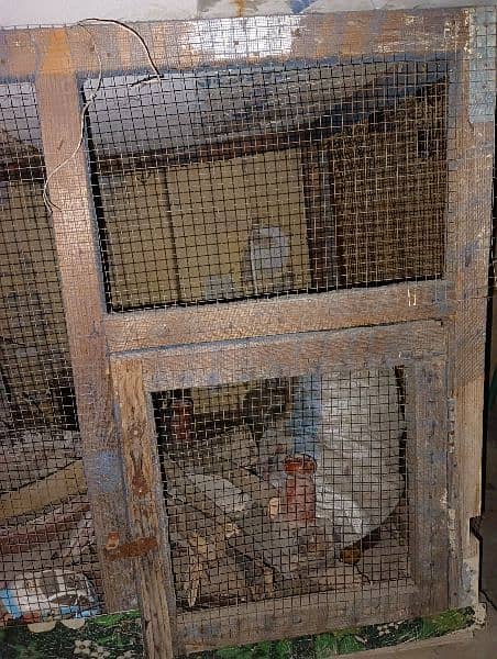 Wood Cage for Sale 6